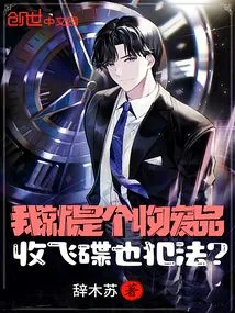 I Am Just a Scrap Collector. is it Illegal to Collect Flying Saucers?