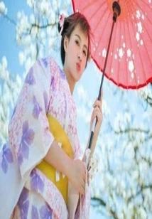 The Wanderings of the Fox Fairy Girl