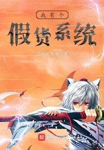 I Have a Fake System