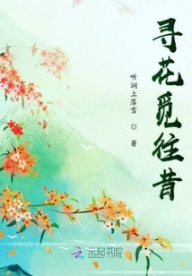 Looking for Flowers and Looking for the Past