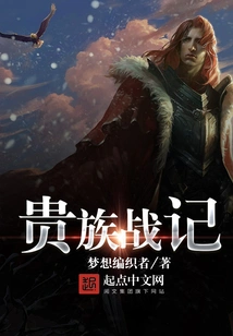 Noble War Chronicles