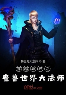 The Archmage of World of Warcraft Who Travels Through Another World