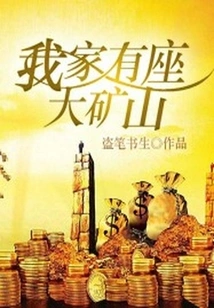 There is a Big Mine in My House