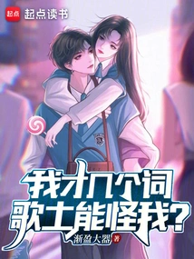 I Only Have a Few Words, Can the Singer Blame Me?