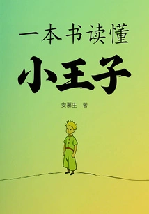 A Book to Understand the Little Prince