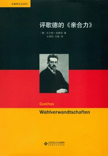 Comments on Goethe's "affinity