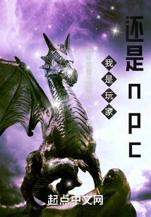 Am I a Player or an Npc?