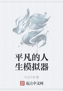 Ordinary Life Simulator