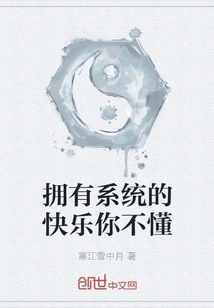 You Don't Understand the Joy of Having a System