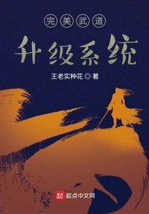 Perfect Martial Arts Upgrade System