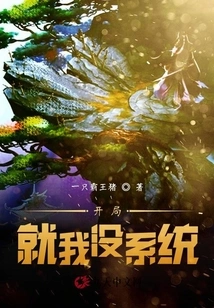 I Didn't Have a System at the Beginning