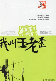 My Name is Wang Laowai