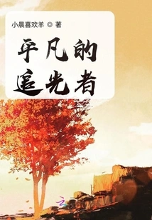 Ordinary Light Chaser