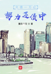 I Owe a Trillion Yuan in Debt, and I'm Working Hard to Pay it Off