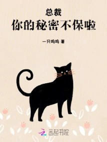 President, Your Secret is No Longer Safe