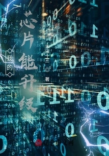 My Chip Can Be Upgraded