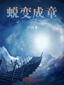 Metamorphosis Chapter