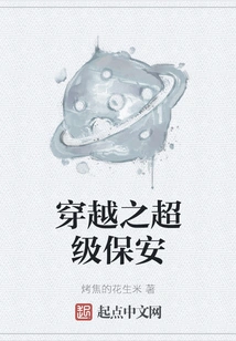 Time Travel Super Security