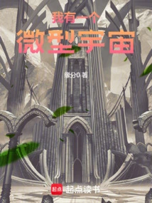 I Have a Miniature Universe