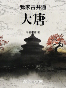 My Ancient Well Leads to the Tang Dynasty