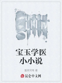Baoyu's Medical Novel