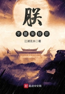 I Am Not Song Qinzong