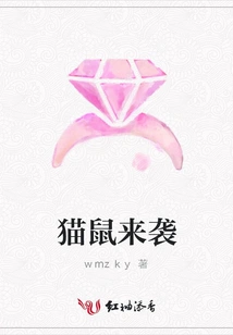 Cat and Mouse Attack