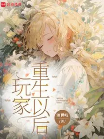 After the Player is Reborn