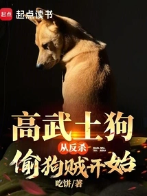 Gao Wu Native Dog, Starting from Killing the Dog Thieves