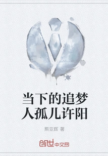 Xu Yang, the Current Dream Chaser Orphan