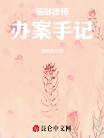 Lawyer Yang Lin's Case Handling Notes