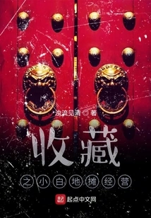 Collection of Xiaobai Street Stall Management