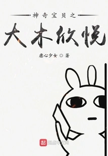 Pokémon: Damu Xinyue