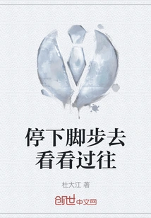 Stop and Look at the Past