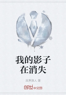 My Shadow is Disappearing