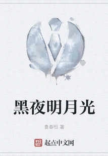 Dark Night Moonlight