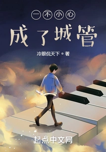 Accidentally Became a City Manager