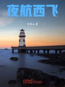 Flying West at Night