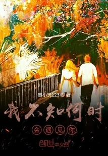 I Don't Know When I Will Meet You