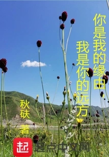 You Are My Reason, I Am Your Distance