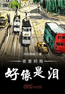 The Rain at Night Seems Like Tears