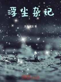 Miscellaneous Notes on the Dust