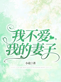 I Don't Love My Wife