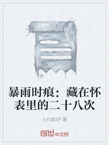 Traces of Rainstorm: Twenty-eight Times Hidden in a Pocket Watch