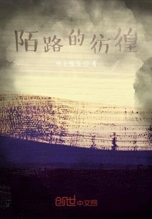 The Hesitation of a Stranger