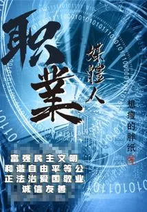 Professional Media Person