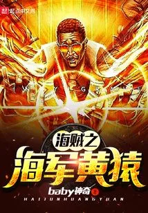 One Piece Navy Kizaru