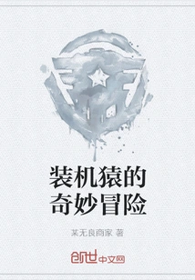 The Bizarre Adventure of the Installer