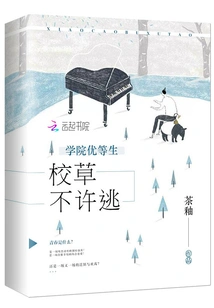 College Honors Student