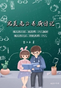 Perfect Husband Development Diary